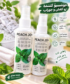 خوشبو کننده کفش و جوراب رایحه نعنایی